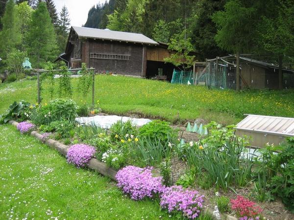 Grindelwald garden
