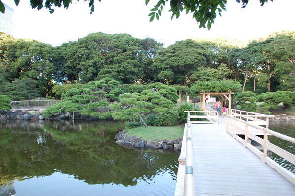 The garden and lake