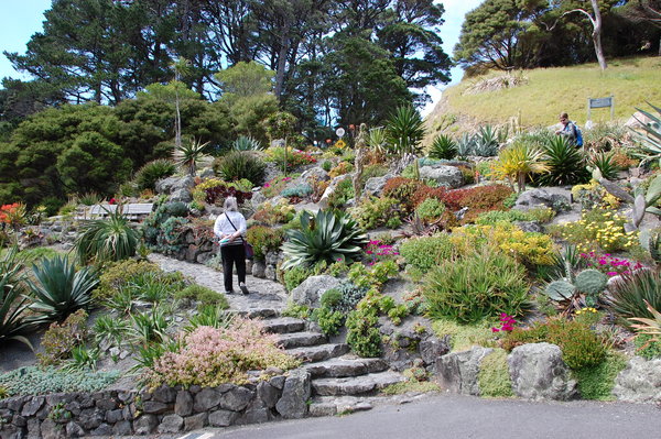 Wellington botanic garden