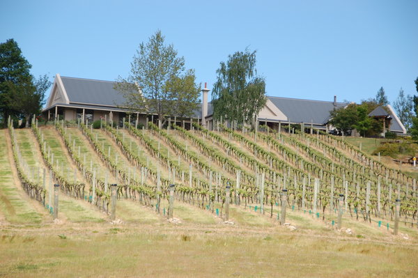 Hawkdun winery