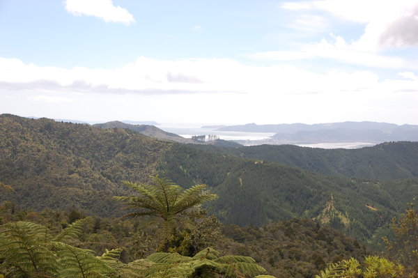 The view from north Coromandel