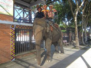 Elephant ride!