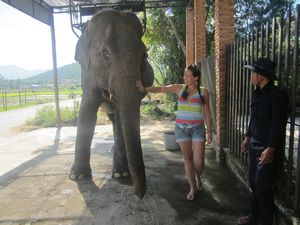 Getting aquainted with the elephant!