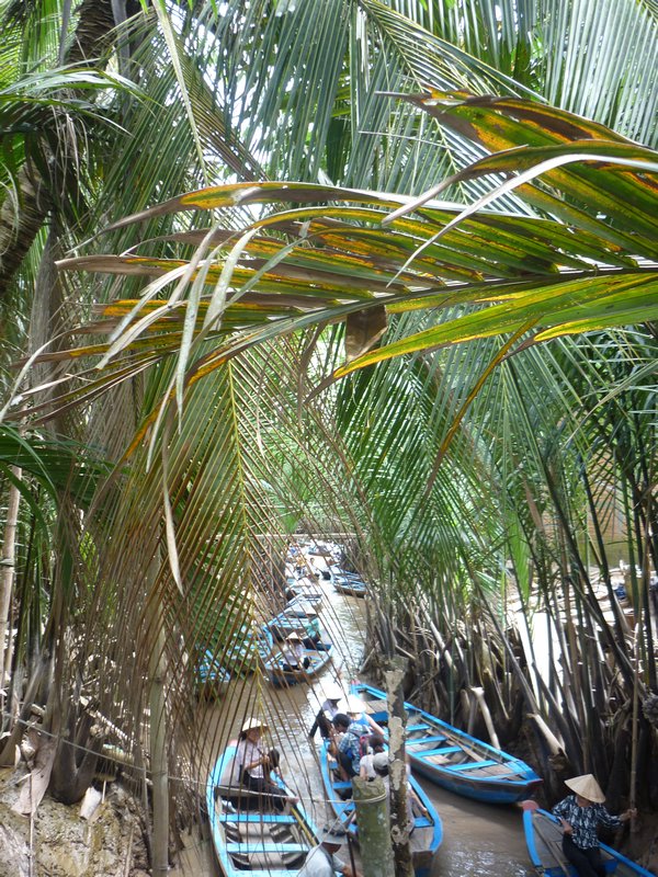 Paddle down coconut tree-lined canal