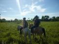 A morning of horse-back riding through the fields