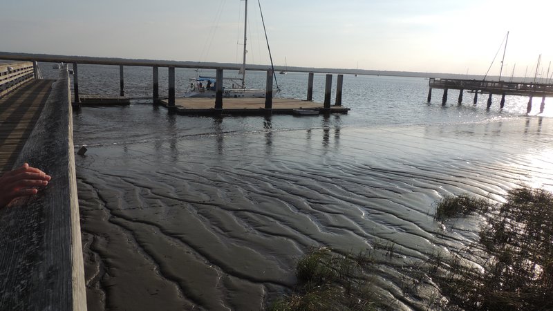 low tide at the public dock