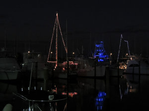 Christmas lights in the marina