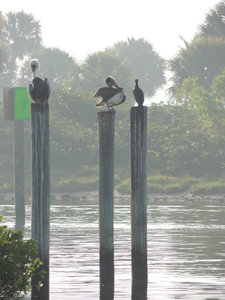 last view in Fort Pierce