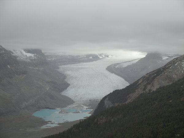 Seskatchewan Glacier