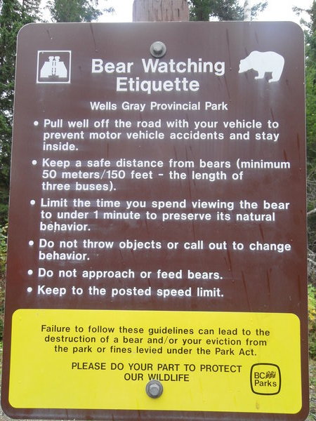 Bear Aware!