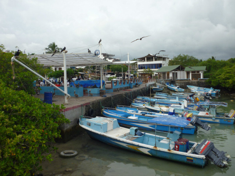 Puerto Ayora