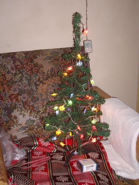 ....and a pathetic attempt at a tree!
