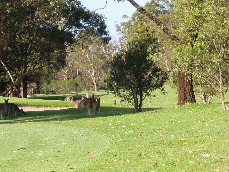 Merimbula Golf Course