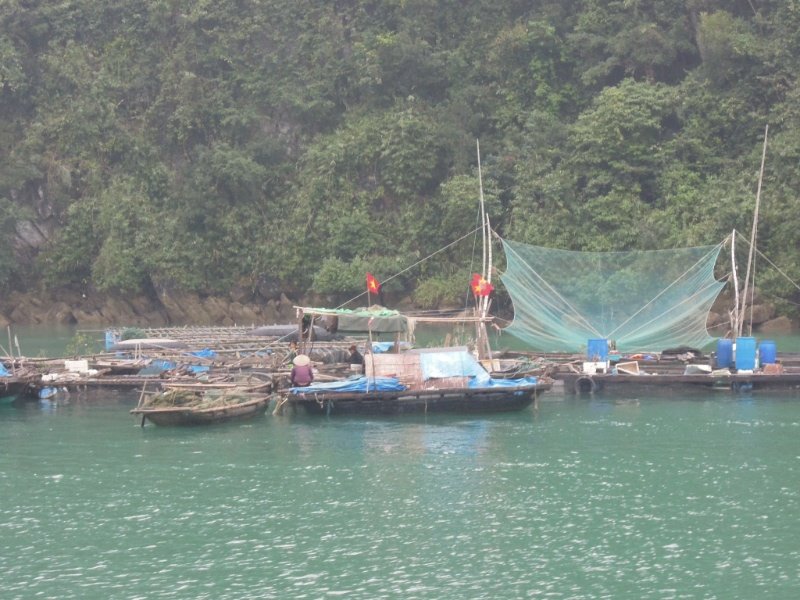 Fishing on Halong Bay
