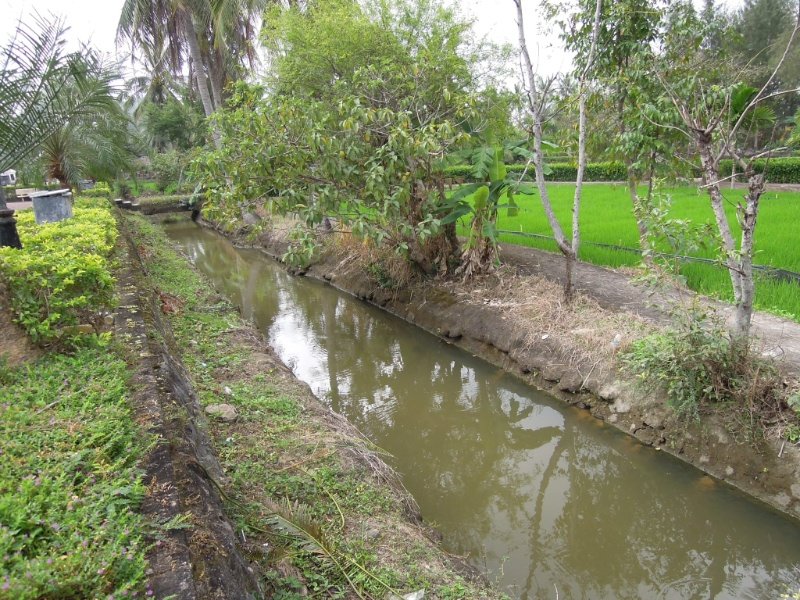 Ditch at MyLai