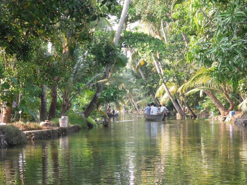Canoeing along the backwaters