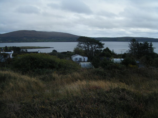 View of the polytunnels and studio