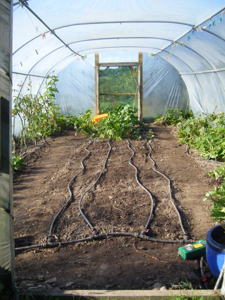 Finished polytunnel