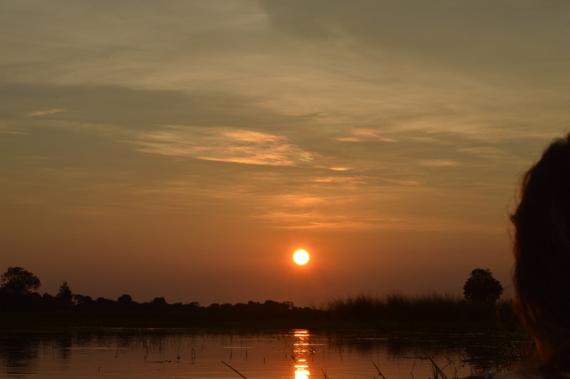 Sunset in the Okavango