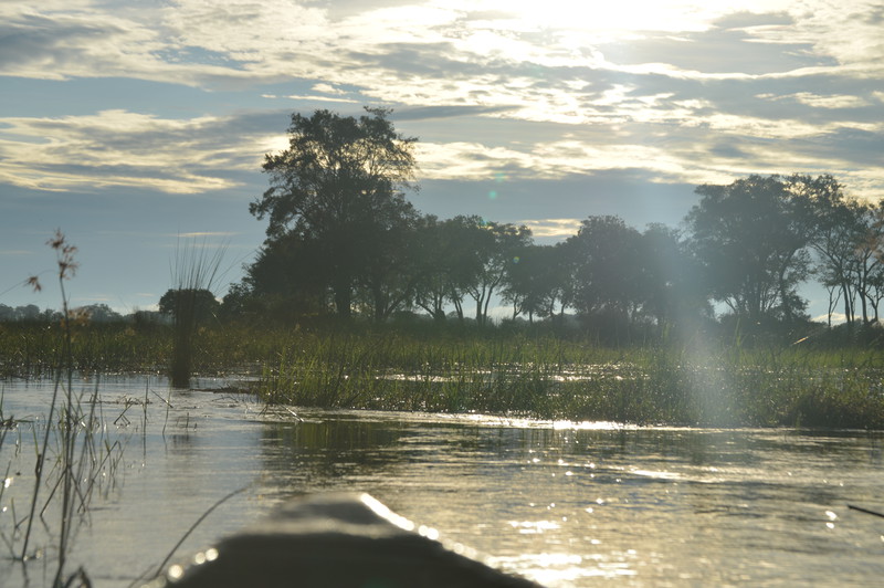 Okavango Delta floodplains