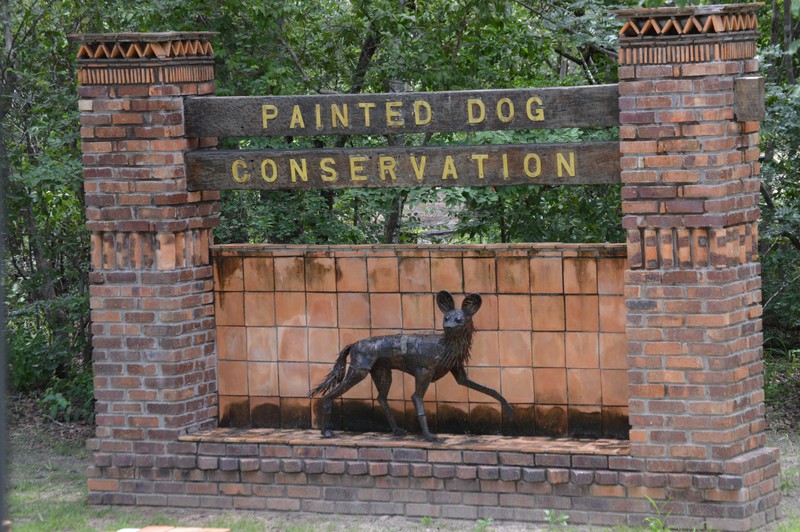Painted dog conservation centre