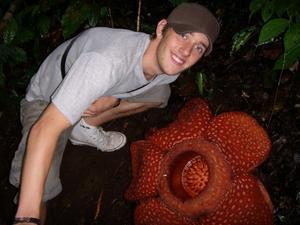 Rafflesia Flower