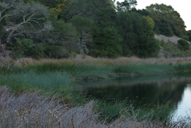 Fern Lake