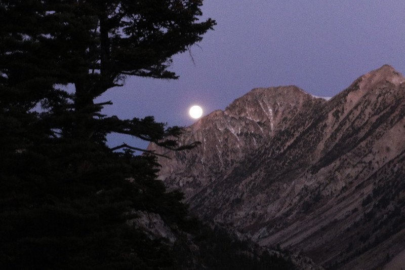Full Moon set over the ridge