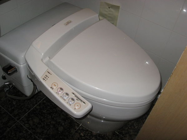 Ahhhhh, the famous heated toilets!