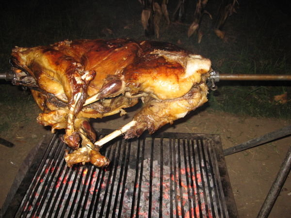 Lamb on a spit........yum!