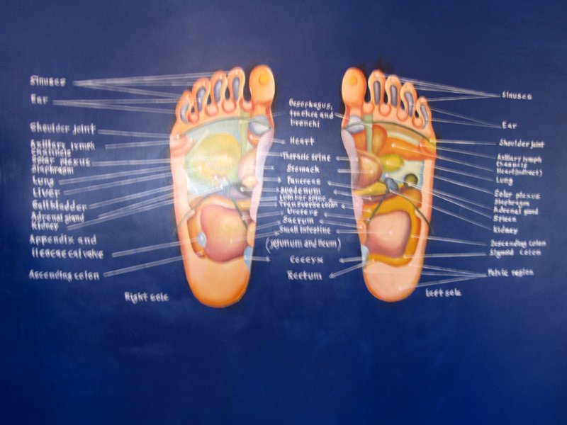 picture of the reflexology