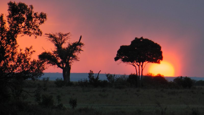 Good night, Africa!