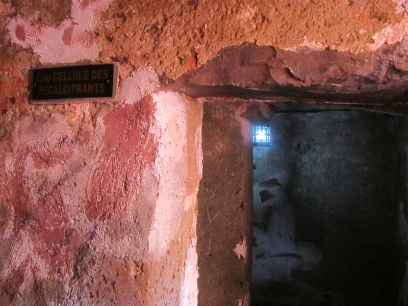 the interior of the cells