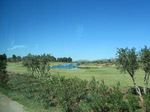 more of the golf course