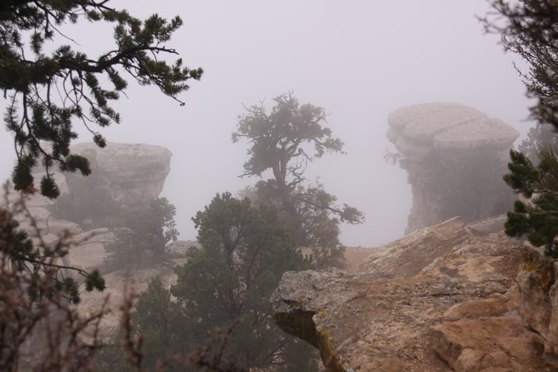 Fog in the canyon