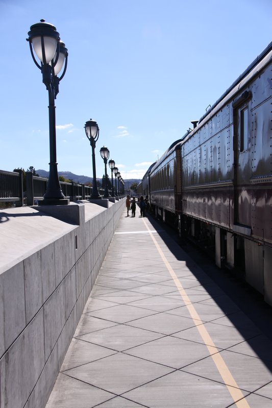 The train and platform