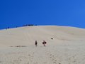 Sand boarding the dunes