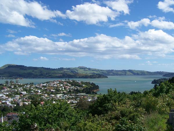 Port Chalmers and Otago Harbor