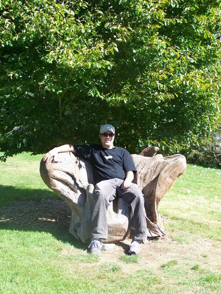 driftwood chair