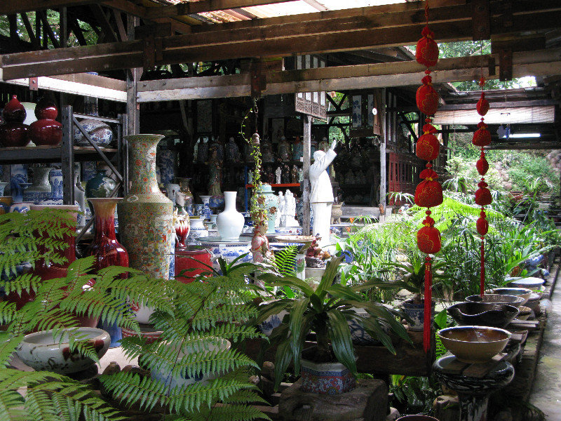 Pottery Jungle