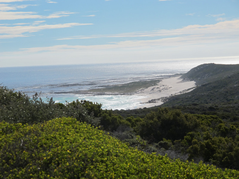 View from Cape Point