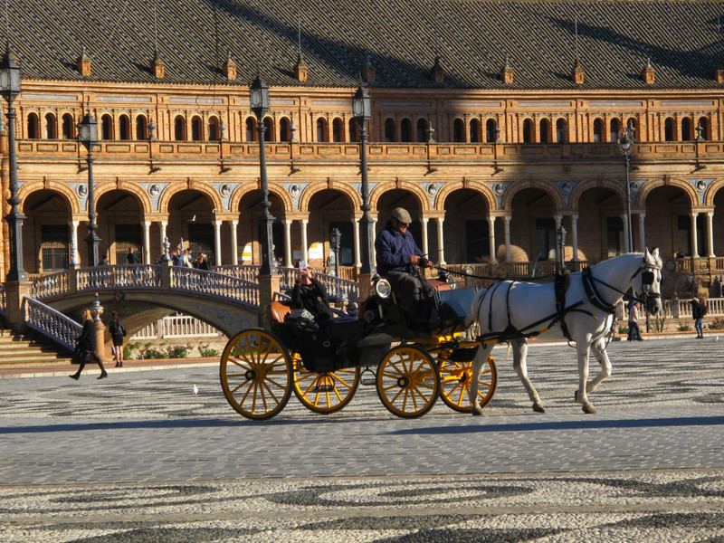 horse and carriage in Plaza de Espana