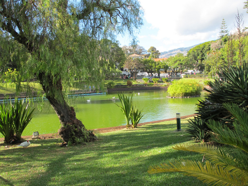 Funchal Park