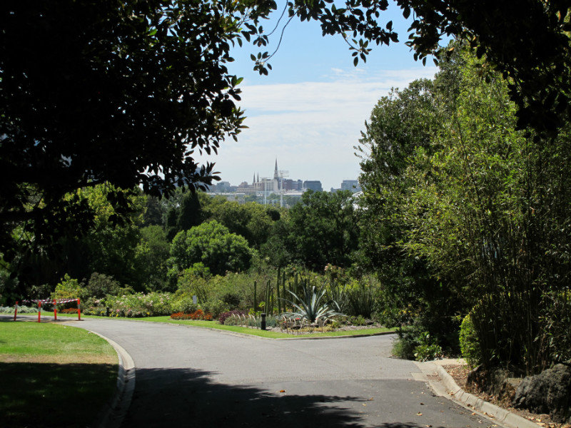 Botanical Gardens view