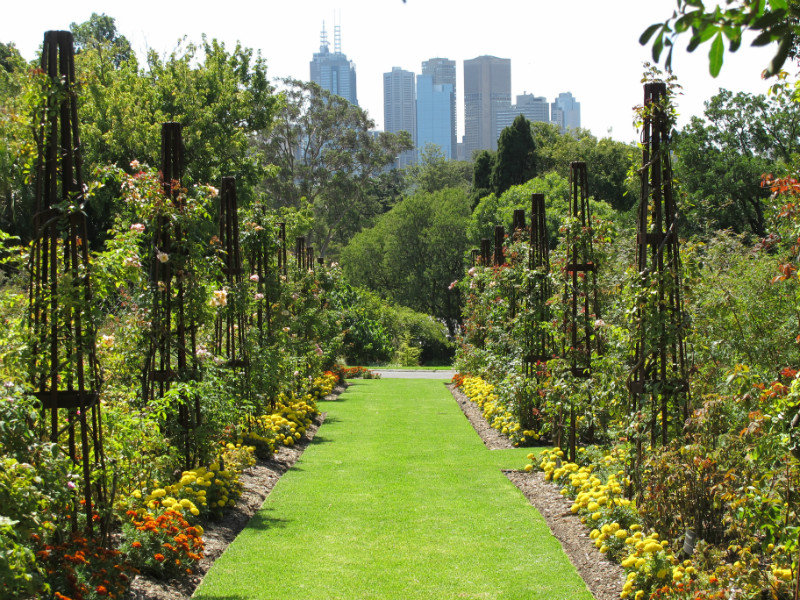 Melbourne CBD from Botanical Gardens