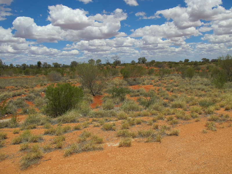 The red centre