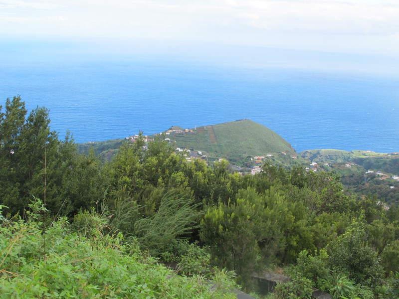 La Palma greenery