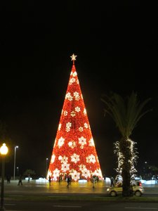 Xmas tree lights