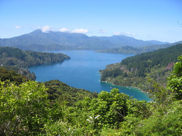 The Queen Charlotte Sound