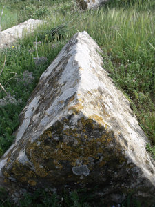 A Cool Stone